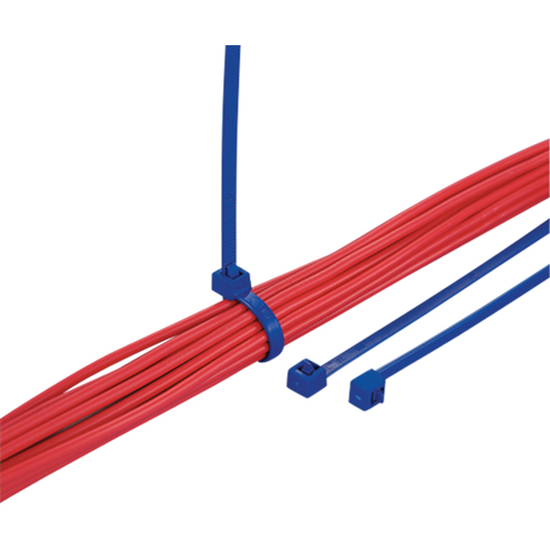 Metal Detectable Cable Ties, 7-9/10" L, 50 lbs. Tensile Strength Cantin et fils