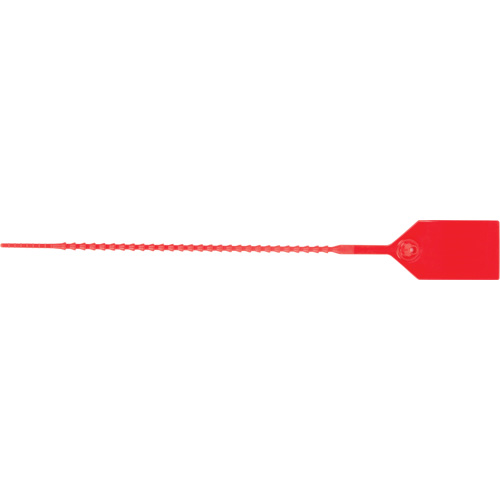 Scell&eacute; de s&eacute;curit&eacute; standard, 9", Plastique, Scell&eacute; en plastique Cantin et fils