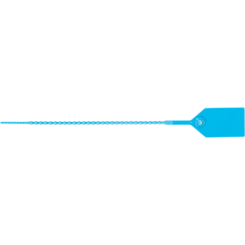 Scell&eacute; de s&eacute;curit&eacute; standard, 9", Plastique, Scell&eacute; en plastique Cantin et fils