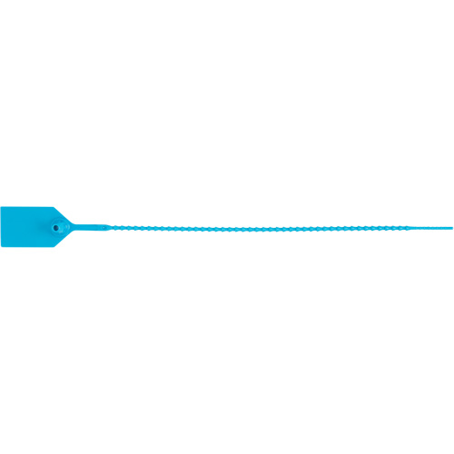 Scell&eacute; de s&eacute;curit&eacute; standard, 12", Plastique, Scell&eacute; en plastique Cantin et fils
