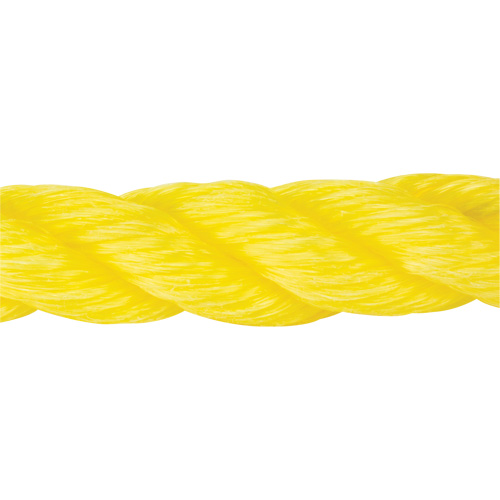 Braided Yellow Rope, Polypropylene, 300' Cantin et fils