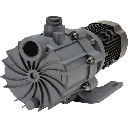 Self-Priming Magnetic Drive Pump with Carbon Bushing Cantin et fils