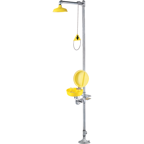 Combination Shower Eye/Face Wash With Cover Cantin et fils