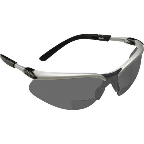 BX Reader Safety Glasses, Anti-Fog, Grey/Smoke, 2.0 Diopter Cantin et fils