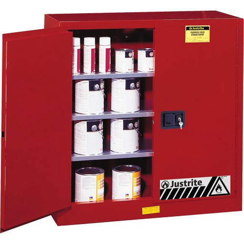 Armoire de s&eacute;curit&eacute; pour la peinture et les encres combustibles EX Sure-Grip, 40 gal., 3 tablettes Cantin et fils