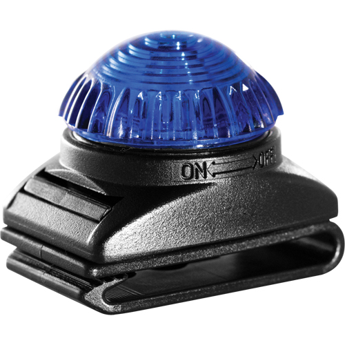 Guardian Warning Light, Continuous/Flashing, Blue Cantin et fils