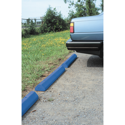 Car Stops, Plastic, 6' L, Blue Cantin et fils