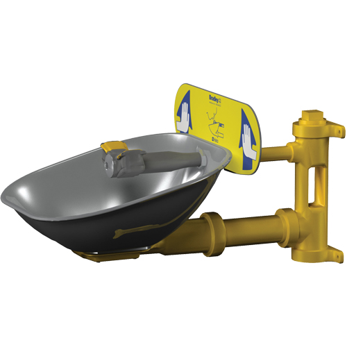 Poste de douche oculaire Halo, Installation Montage mural, Bol Acier inoxydable Cantin et fils