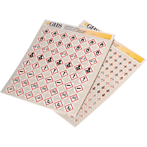 Assortiment d'&eacute;tiquettes avec pictogrammes sgh, Vinyle, Feuille, 1/2" lo x 1/2" la Cantin et fils