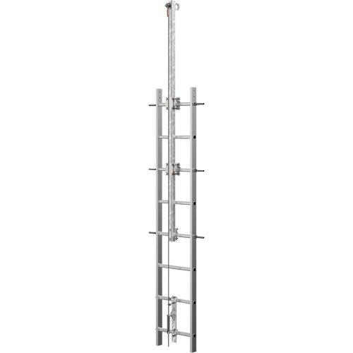 Vi-Go Continuous Ladder Climbing Safety System with Automatic Pass-Through, Stainless Steel Cantin et fils