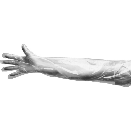 Disposable Gloves, Large, Polyethylene, 9-mil, Powdered, Clear Cantin et fils
