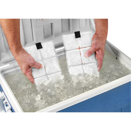 Sachets pour veste de refroidissement &agrave; changement de phase 6260 Chill-Its Cantin et fils