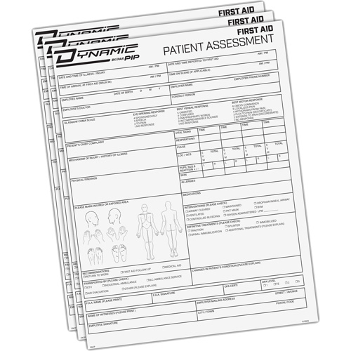 Dynamic Patient Assessment Chart Cantin et fils