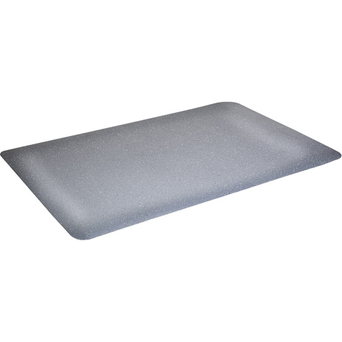 Tapis antimicrobiens WD Foodmaster, Lisse, 3' x 4' x 9/16", Gris, Nitrile/Caoutchouc Cantin et fils