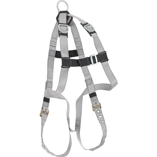 Harnais &eacute;conomique de conformit&eacute; B Dynamic, Certifi&eacute;e CSA, Classe AE, Cap. 310 lb Cantin et fils