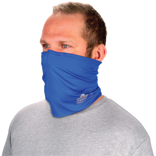 Chill-Its 6489 2-Layer Cooling Multi-Band, Blue Cantin et fils