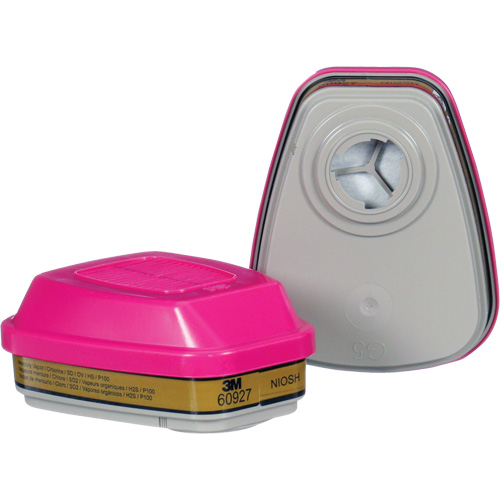 Cartouche, Combinaison cartouche et filtre contre les particules pour gaz/vapeurs, Gaz multiples/Vapeurs/P100 Cantin et fils