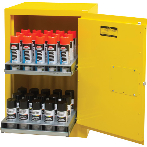 Armoire de rangement pour a&eacute;rosols inflammables, 12 gal., 1 Porte(s), 23" La x 35" h x 18" p Cantin et fils