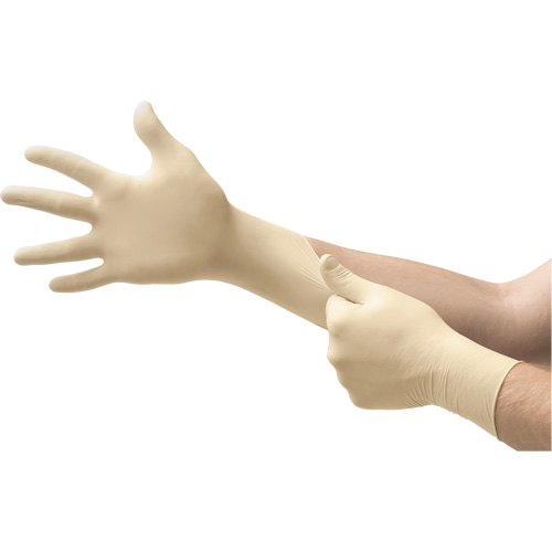 MICROFLEX&reg; Ultra One&reg; Examination Gloves, 10/9.5/X-Large, Latex, 9.8-mil, Powder-Free, Natural, Class 2 Cantin et fils