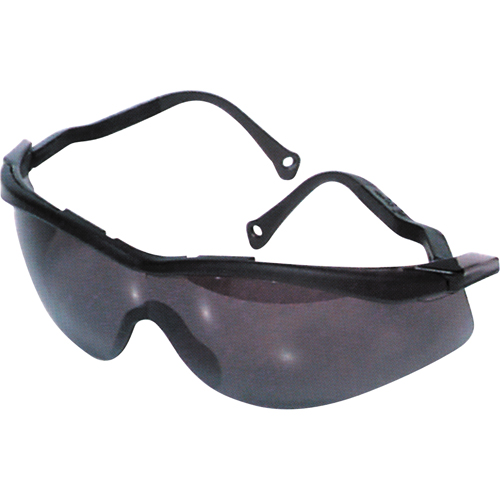 Lunettes de s&eacute;curit&eacute; North The Edge, Lentille Fum&eacute;e, Antibu&eacute;e/Anti-&eacute;gratignures, R&eacute;pond ou surpasse la norme CSA Z94.3 Cantin et fils