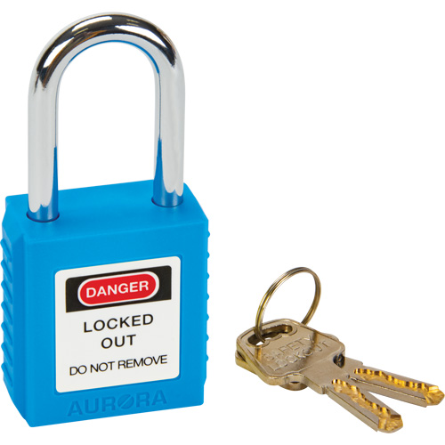 Safety Lock, Blue, Keyed Different, Thermoplastic, 1-1/2" Width Cantin et fils