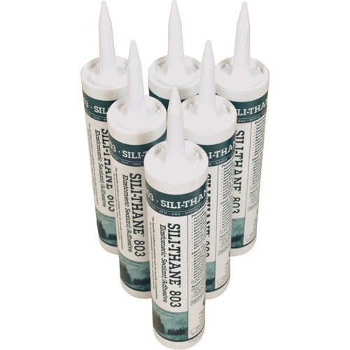 Ultra-Berm Builder&reg; Floor Sealant, Granular/Paste Cantin et fils