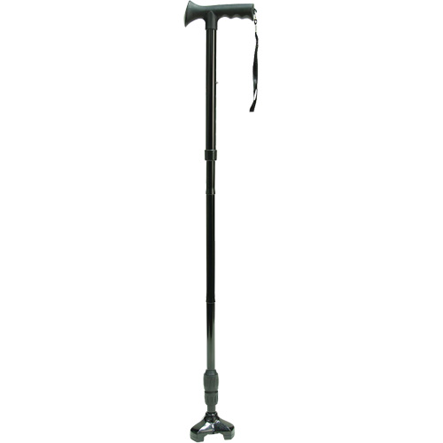 Wondercane Cantin et fils