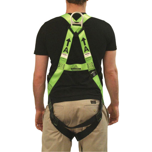 FBH-10000L Contractor Series Safety Harness, CSA Certified, Class AL, 400 lbs. Cap. Cantin et fils