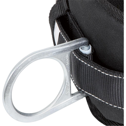 WB-6020-L Safety Positioning 2 Side D-Rings Belt with Padded Lumbar Support - Large Cantin et fils