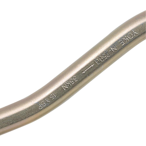 CP-04011-1 Zinc Plated Carabiner with 2" Gate Opening, Steel Cantin et fils