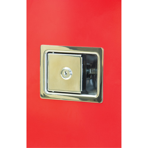 Heavy-Duty Outdoor Fire Extinguisher Cabinet, 14" W x 28" H x 10" D Cantin et fils