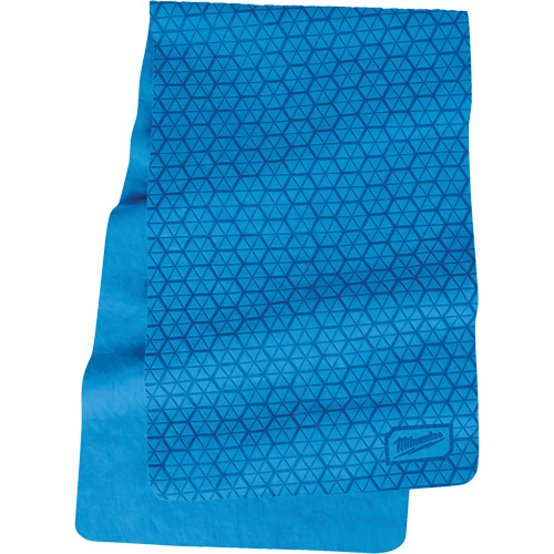 Cooling PVA Towel - Bulk, Blue Cantin et fils