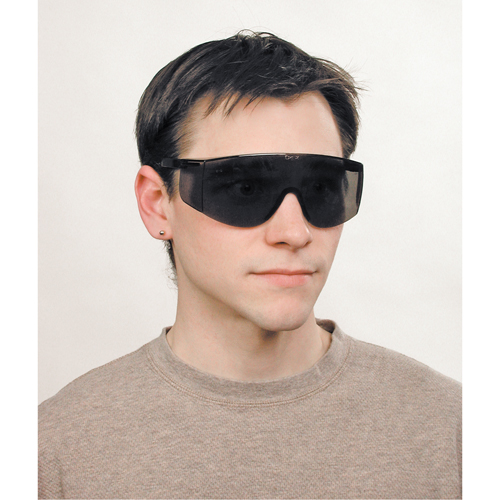 Tacoma&reg; Safety Glasses, Grey/Smoke Lens, Anti-Scratch, ANSI Z87+ Cantin et fils