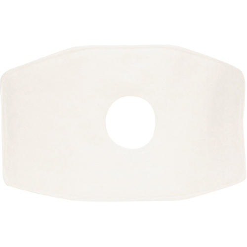 Filtre de rechange North, Filtre contre les particules, Filtre N99 Cantin et fils
