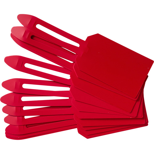 &eacute;tiquettes de cadenassage vierges en plastique, Plastique, 3-1/4" la x 5-4/5" h, Vierge Cantin et fils