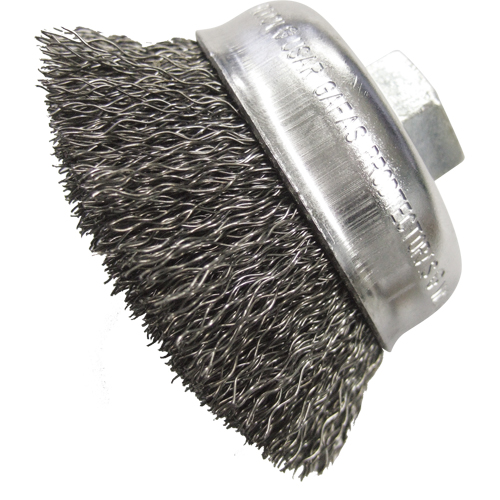 Brosses-boisseau &agrave; fils cr&ecirc;p&eacute;s 2 3/4" Cantin et fils
