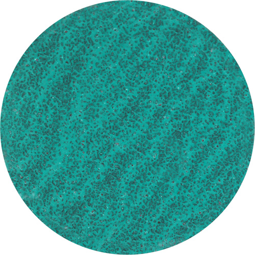 Disque de ponçage &agrave; dos verrouill&eacute;, 3" dia., Grain 36, Zirconium Cantin et fils