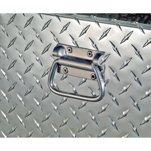 R&eacute;servoir de transfert pour carburant & coffre en aluminium, Aluminium, Capacit&eacute; 74 gal., Argent Cantin et fils