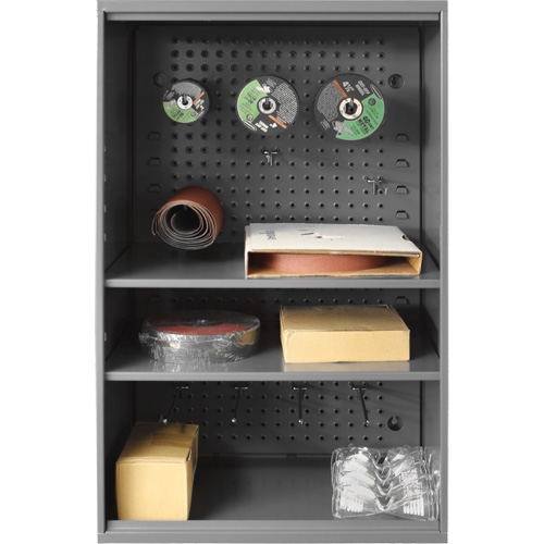 Armoire d'entreposage de produits abrasifs avec panneau perfor&eacute;, Acier, 19-7/8" x 14-1/4" x 32-3/4", Gris Cantin et fils