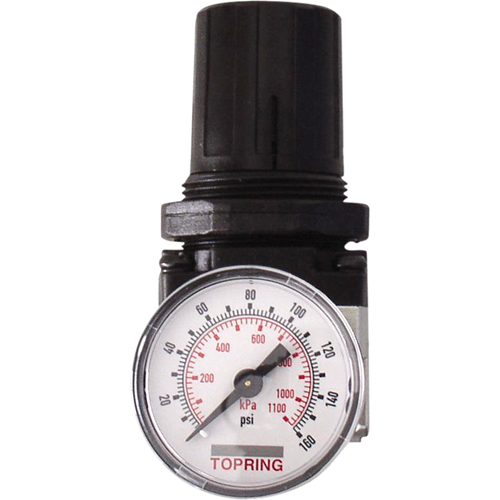 Regulators, 1/4" NPT, 150 PSI Max. PSI, Modular Cantin et fils