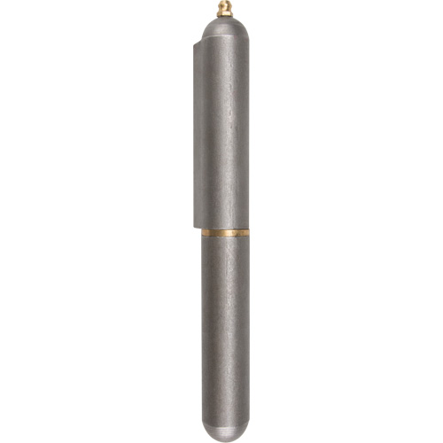 Weld-On Hinge, 0.906" Dia. x 7.874" L, Mild Steel w/Fixed Steel Pin Cantin et fils