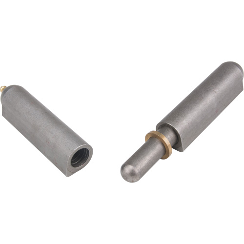 Weld-On Hinge, 0.906" Dia. x 7.874" L, Mild Steel w/Fixed Steel Pin Cantin et fils