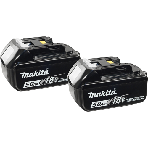 Batteries, Lithium-Ion, 18 V, 5.0 A Cantin et fils