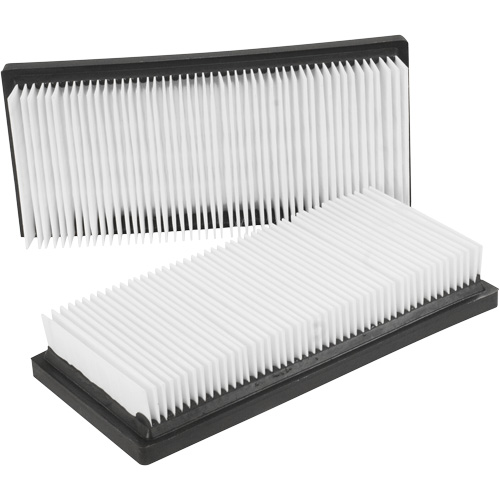 Filtres plats principaux, Cartouche, Pour 12 gal. US Cantin et fils