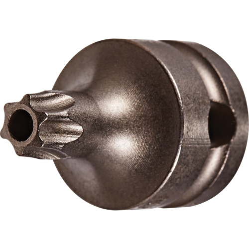Socket Bit, Torx&reg; Tamper, 25 x 1" L, 3/8" Drive Cantin et fils