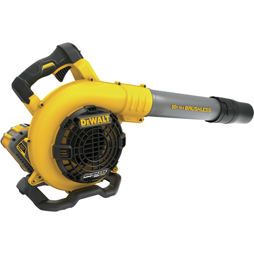 FlexVolt&reg; Handheld Blower Kit Cantin et fils