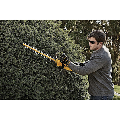 Taille-haie sans fil Max, 22", 20 V, &agrave; pile Cantin et fils