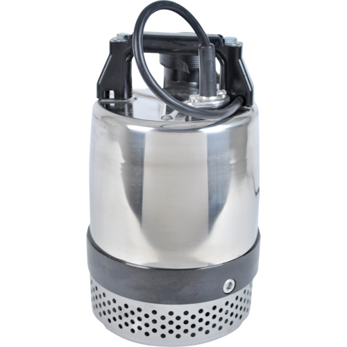 FLS/FS Series Utility Pump, 1 HP, 80 GPM, 115 V, 10 A Cantin et fils