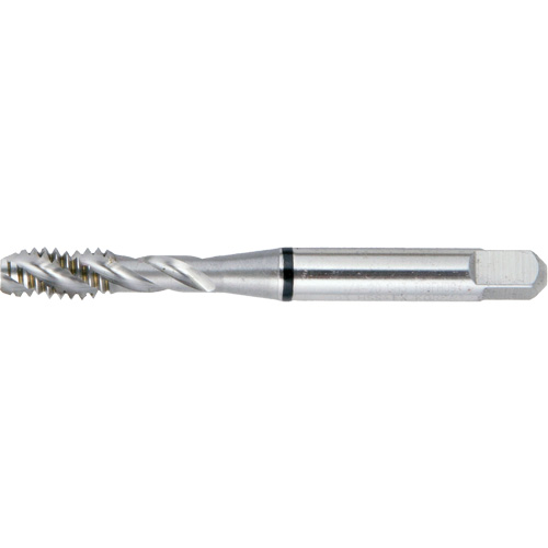 Taraud &agrave; main &agrave; cannelure spiral&eacute;e DRILLCO, Acier rapide, Filet 4-40 Cantin et fils