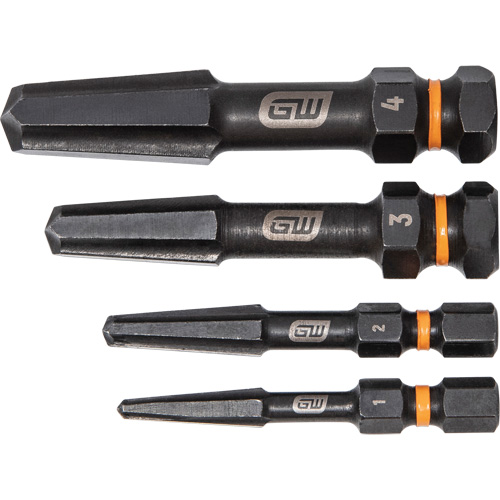 Bolt Biter Screw Extractor Set, High Speed Steel, 4 Pieces Cantin et fils